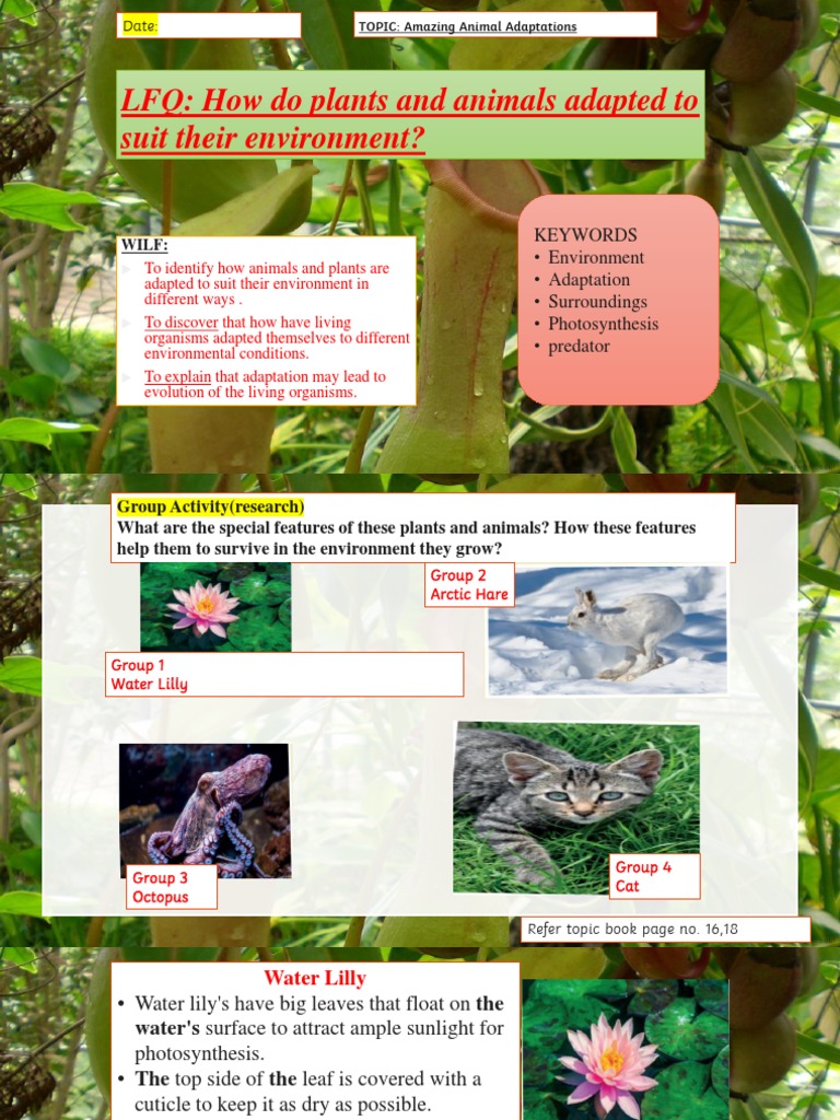 Adaptations for Survival | PDF | Predation | Adaptation