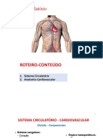 Sistema Circulatório Cardiovascular