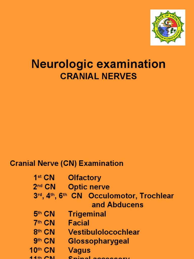Cranial Nerve Examination Guide | PDF | Olfaction | Visual System
