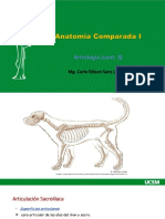 Anatomía Comparada I Clase 9 2022 UCSM