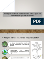 AULA 1-Relações Hídricas e Tolerância A Seca