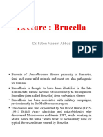 Micro D Faten L2-Brucella