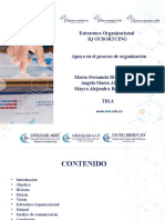 Trabajo Estructura Organizacional Empresa Iq Outsoursing.