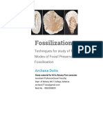 Fossilzation Techniques