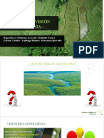 Programa visión Amazonia PPT