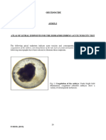 Oecd236-Zebrafish Embryo Acute Toxicity Test