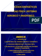 T.19.procesos Energéticos y Actividad Física: Sistemas Aerobico y Anaerobico