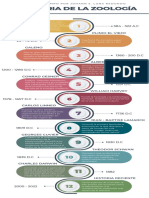 Infografía Línea de Tiempo Cronológica Multicolor