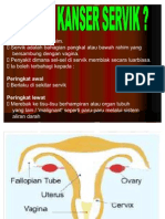 PP Cervical Cancer