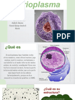 Estructura y componentes del nucleoplasma celular