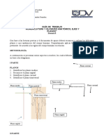 Anatomía guía trabajo planos ejes términos