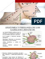 Adenomegalia: causas, evaluación y tratamiento