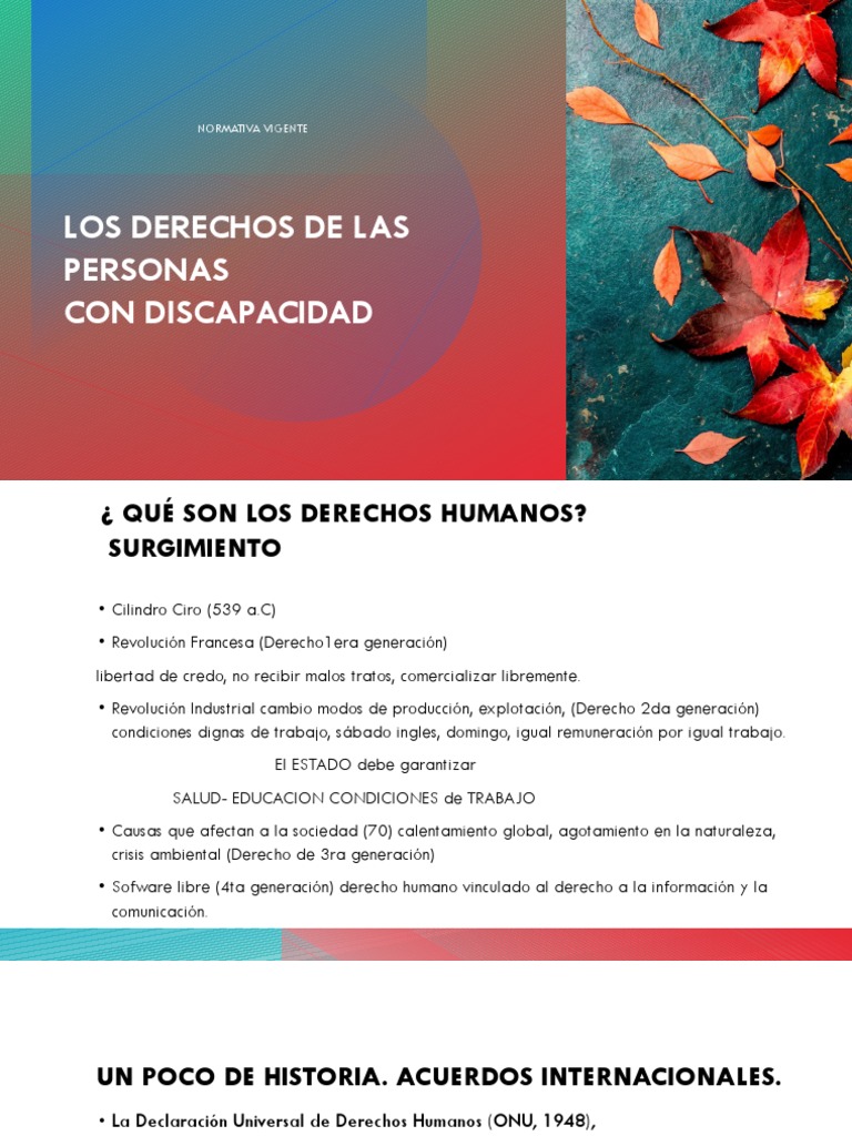 Derechos de Personas con Discapacidad | PDF | Invalidez | Derechos humanos