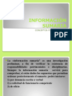 INFORMACION SUMARIA Conceptos Fundamentales