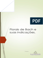 Florais de Bach: indicações e usos das 38 essências