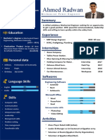 Ahmed Radwan CV