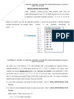 6 - Cálculo Da Raiz Aproximada - Exercícios de Fixação - Prof. Luiz Corrê