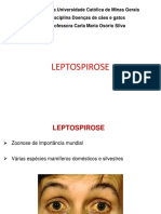Leptospirose 2021