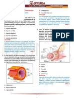 11 Biología Solucionario 06 Ceprunsa 2022 QUINTOS