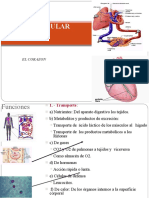 Cardiovascular Estructura, Circulacion,Flujo-estomato