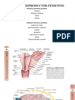 Presentacion Sistema Genital Femenino