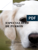 Especialidad de Los Perros