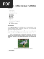 Download GEESE COMMERCIAL FARMING by ALTAF HUSAIN SN59123267 doc pdf