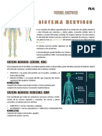 Parcial Anatomia Sistema Nervioso