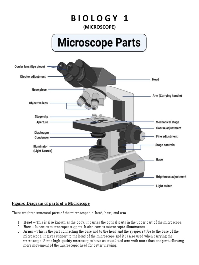 Biology (Reviewer) | PDF | Microscope | Aperture