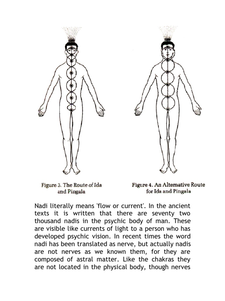 Nadi Literally Means Prana Chakra
