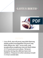 Lotusbirth