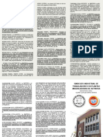 TRIPTICO EDITADO PDF - CTM 007