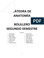 CATEDRA_DE_ANATOMIA_BOLILLERO_SEGUNDO_SE