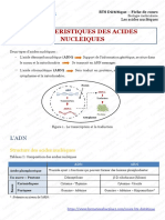 BTS Dietetique Les Acides Nucleiques