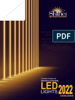 Shine Indoor & Outdoor LED Lights 2022 Cat