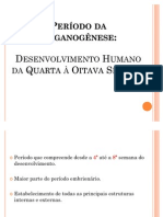 Período da Organogênese (Arnaldo)