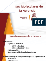 2 Bases Moleculares de La Herencia