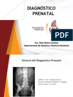 Diagnóstico Prenatal.