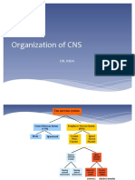 01 CNS Introduction