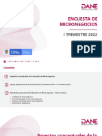 Presentacion Micronegocios I2022