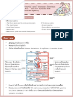 2. CVS (5) (แก้ไข 6-6-62)