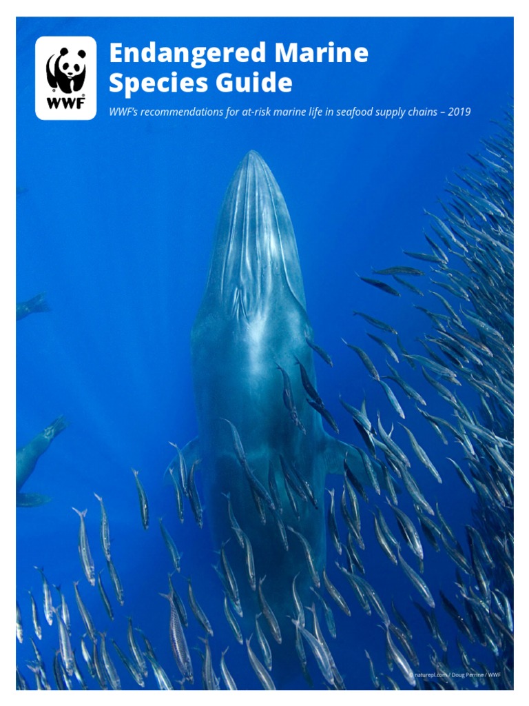 WWF Endangered Marine Species Guide (September 2019) (v3) PDF Tuna