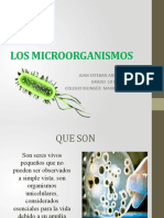 Los microorganismos: seres vivos pequeños esenciales para la vida