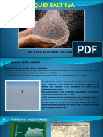1) Liquid Salt Presentación LQS Talca