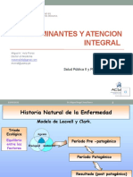 S2-Determinantes y Atencion Integral