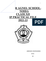 Ip Final Practical File PDF