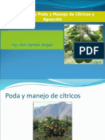 Poda de Citricos y Palta PDF