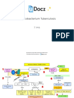 mycobacterium-tuberculosis-233163-downloable