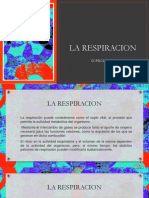 La Respiracion