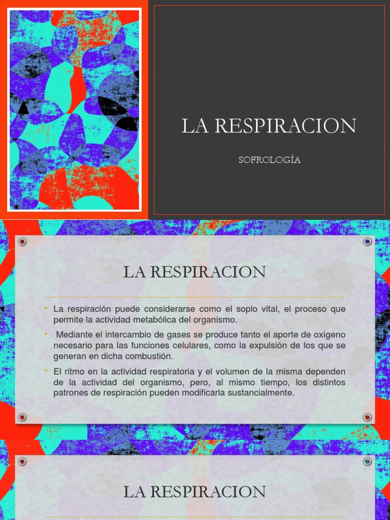 Ejercicios de Respiración para Niños | PDF | Respiración | Sistema ...